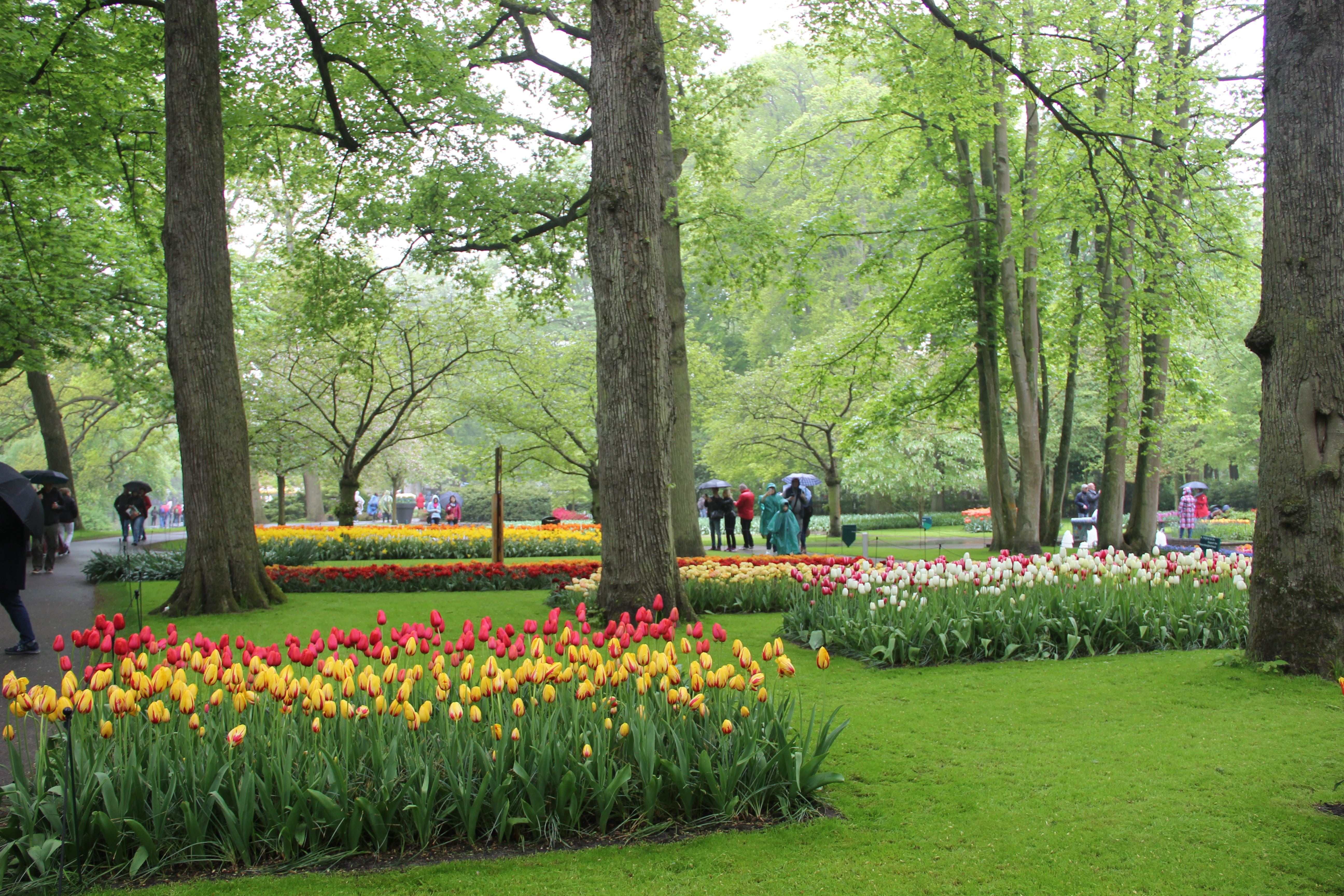 single-img-twentythree